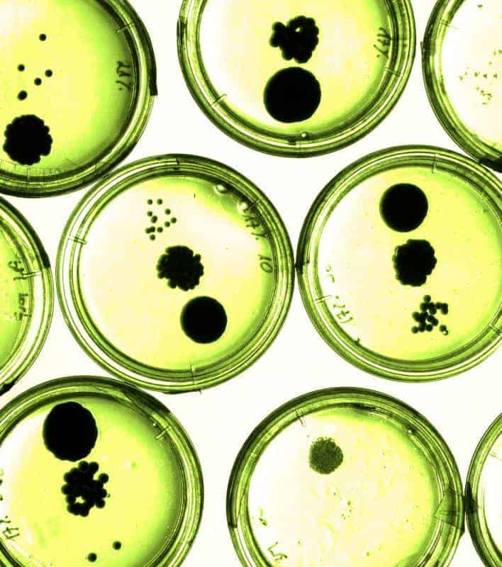 Análise microbiológica do ar em placa de Petri — ANVISA RE 09